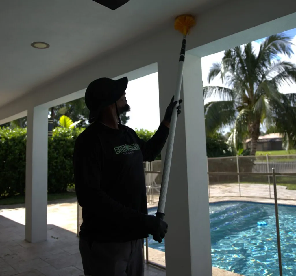 Cockroach control services in South Florida