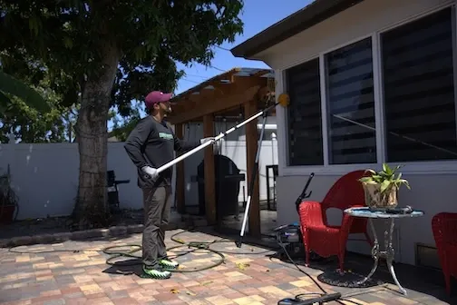 Mosquito control services in South Florida