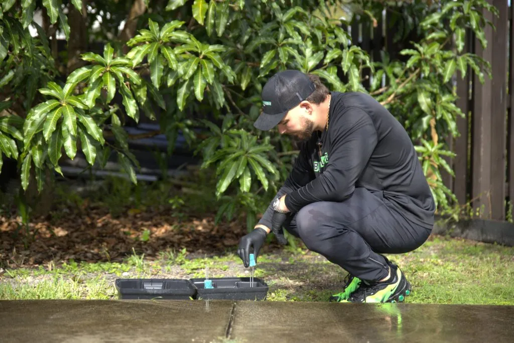 Rodent control services in South Florida
